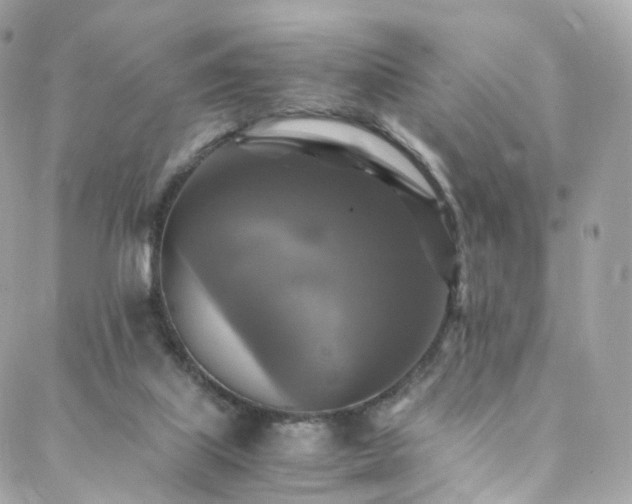 X0000088480067200705221427