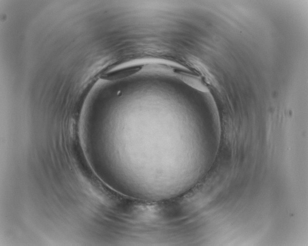 X0000088480071200705221427