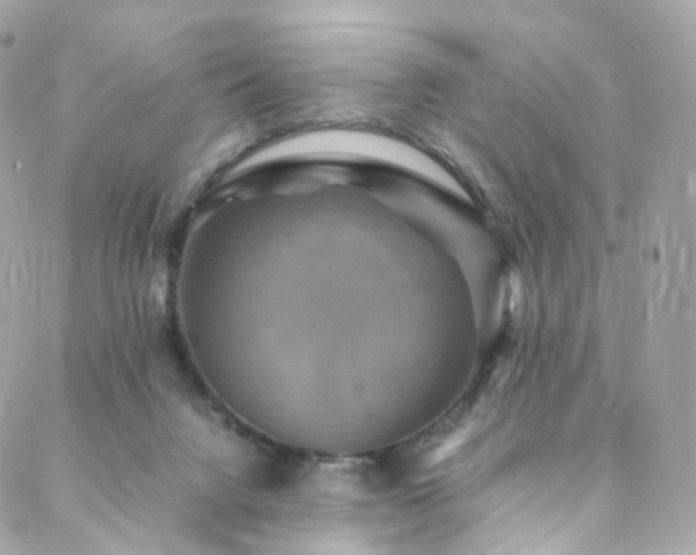 X0000088480072200705221427