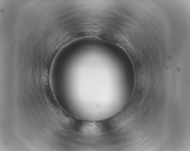 X0000088480083200705221427