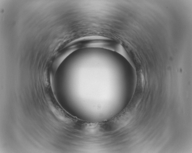 X0000088480088200705221427