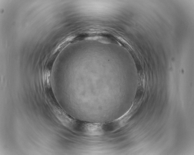 X0000088480094200705221428