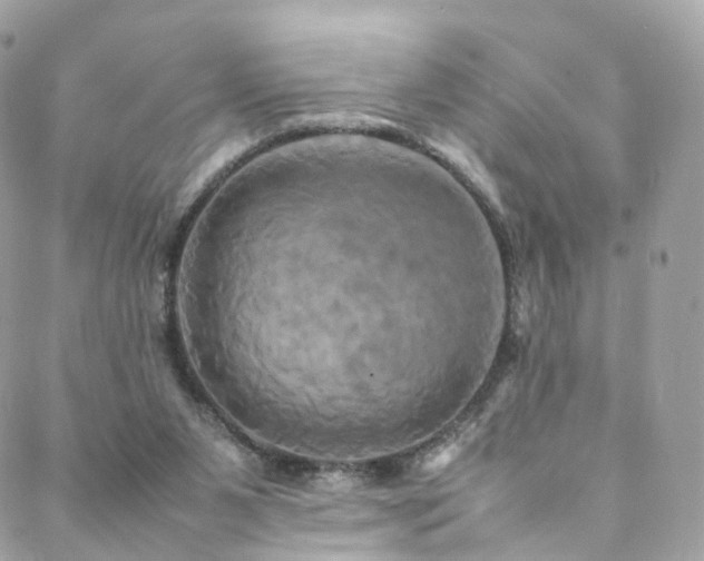 X0000088480111200705221427