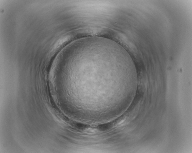 X0000088480119200705221426