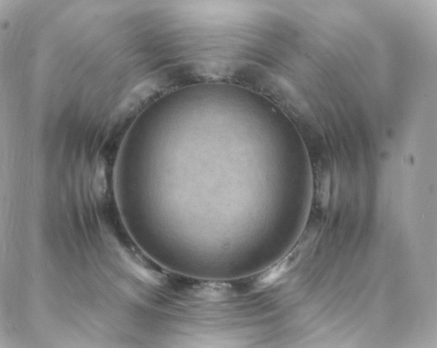 X0000088480128200705221426