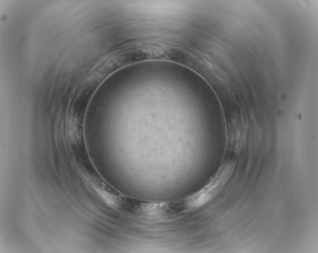 X0000088480136200705221426