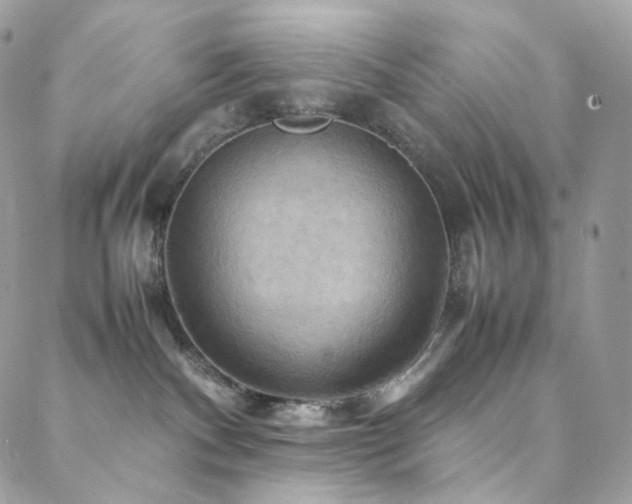 X0000088480140200705221426