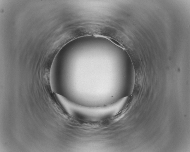 X0000088480141200705221426