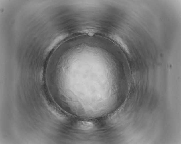 X0000088480159200705221425