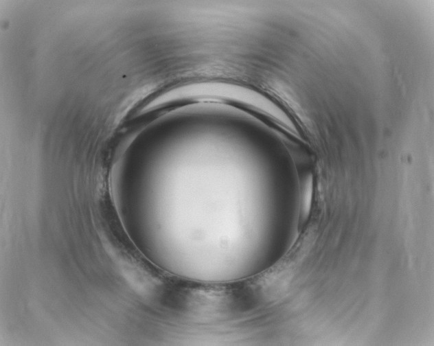 X0000088480164200705221426