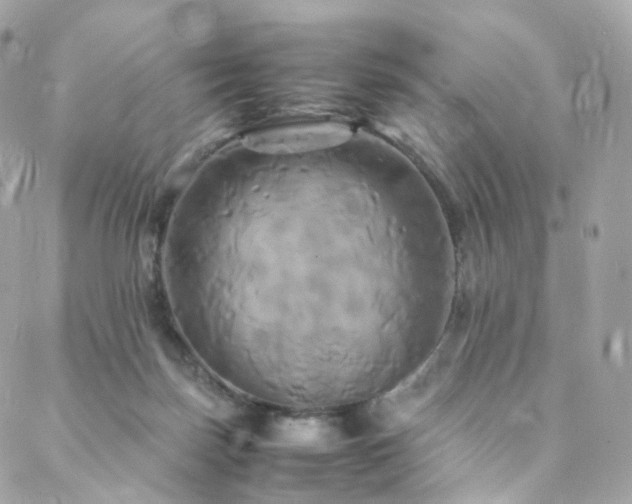 X0000088480171200705221426