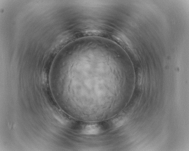 X0000088480173200705221426
