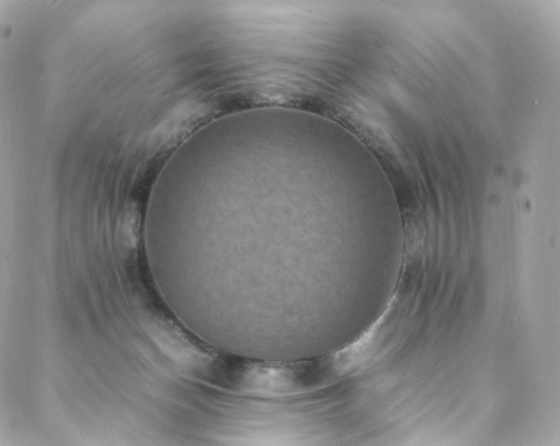 X0000088480174200705221426