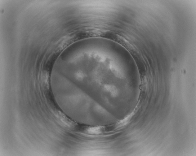 X0000088480178200705221426