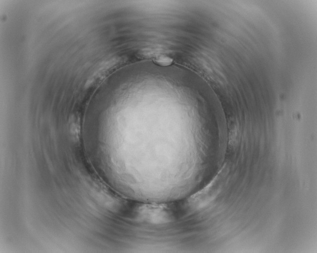 X0000088480179200705221426