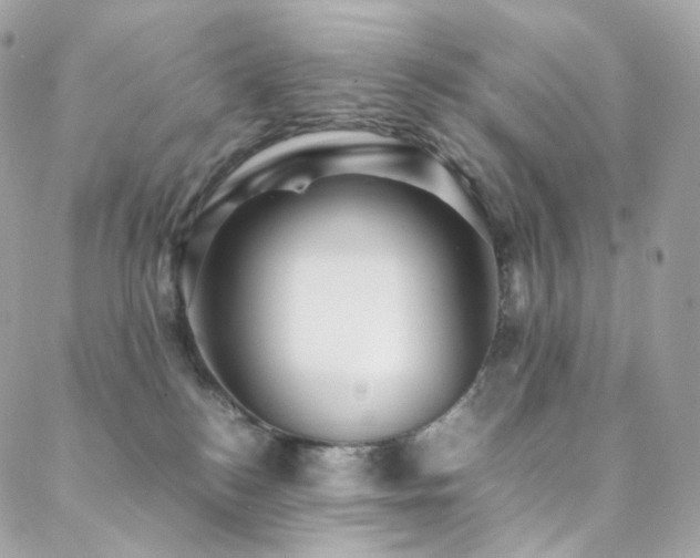 X0000088480184200705221426