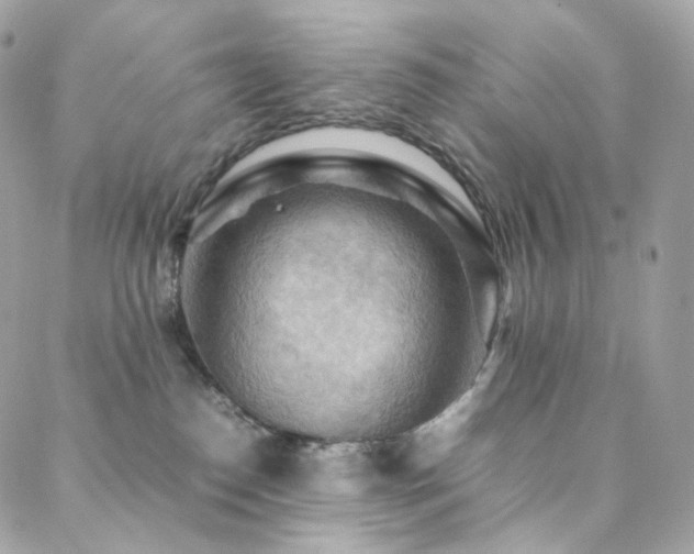 X0000088480186200705221426