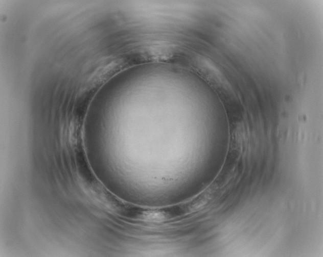 X0000088480218200705221425