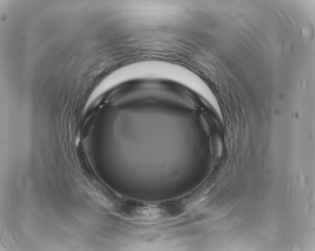 X0000088480219200705221425