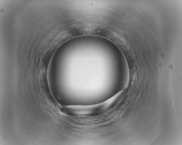 X0000088480225200705221425
