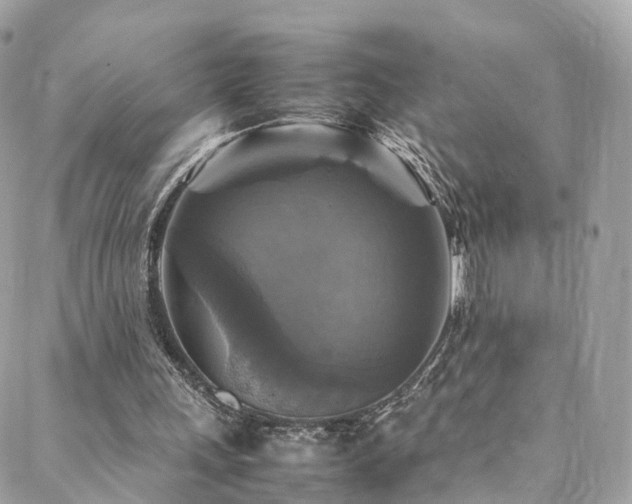 X0000088480243200705221424