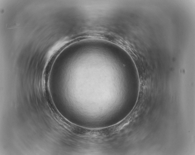 X0000088480294200705221424