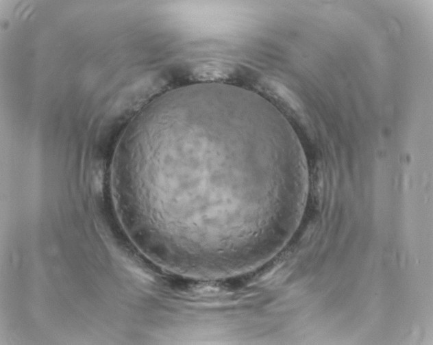 X0000088480315200705221423