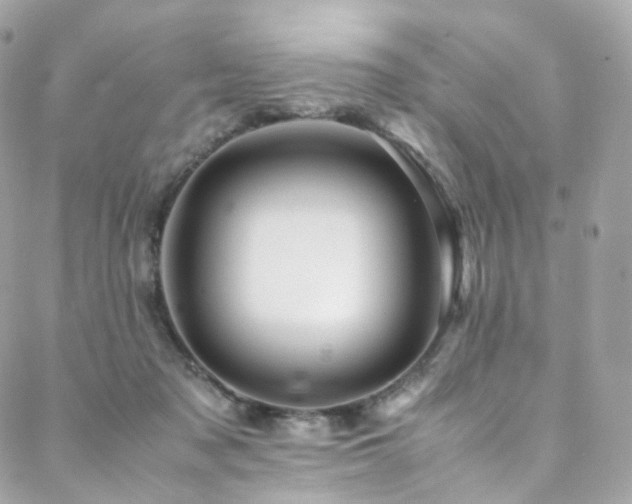 X0000088480317200705221423