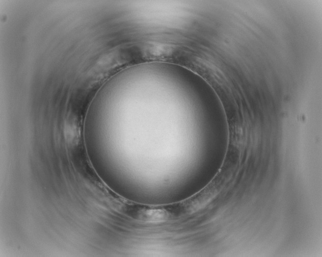 X0000088480324200705221423