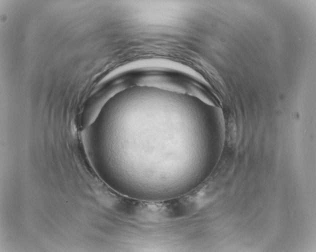 X0000088480329200705221423