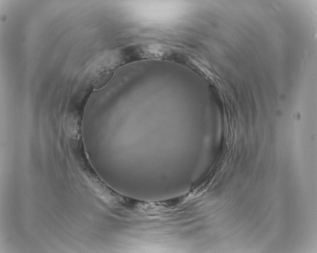 X0000088480331200705221423