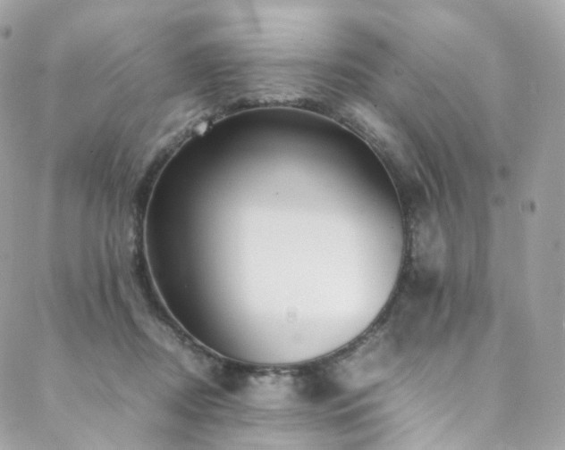 X0000088480362200705221423