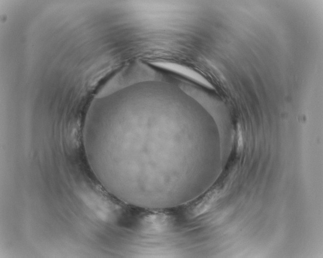 X0000088480364200705221423
