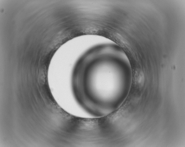 X0000088480370200705221423