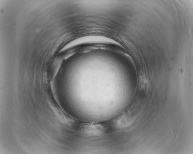 X0000088480379200705221423