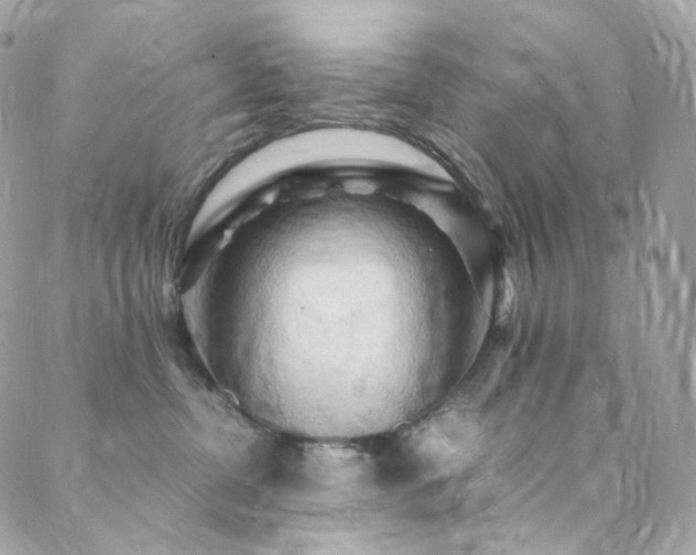 X0000088480380200705221423