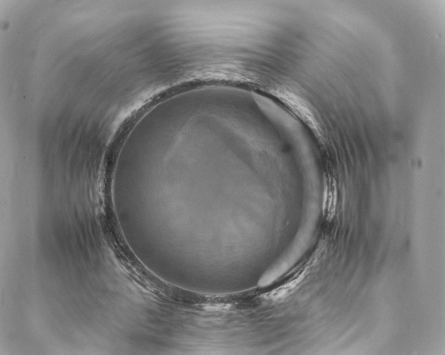 X0000088480388200705221422