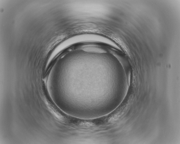 X0000088480397200705221422