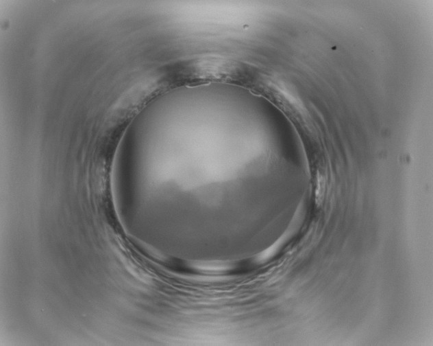 X0000088480413200705221422