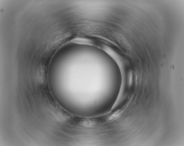 X0000088480416200705221422