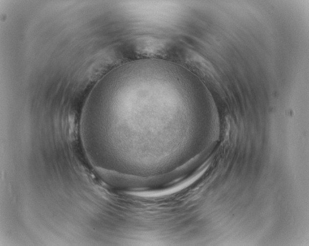X0000088480420200705221422