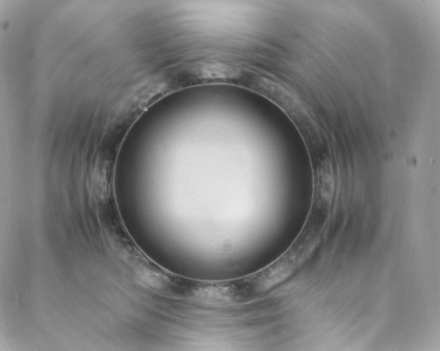 X0000088480422200705221422
