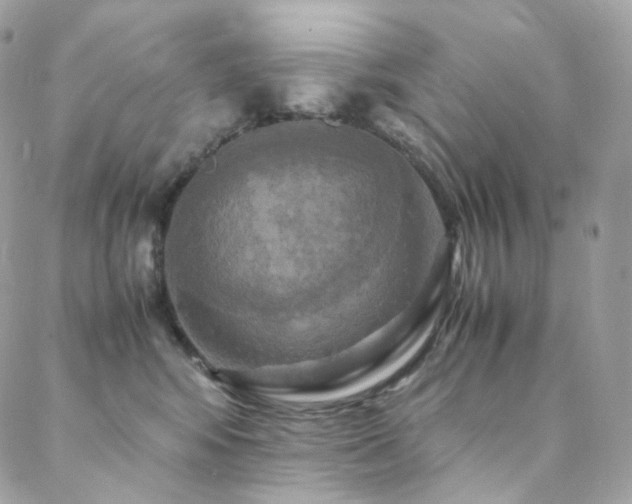 X0000088480424200705221422