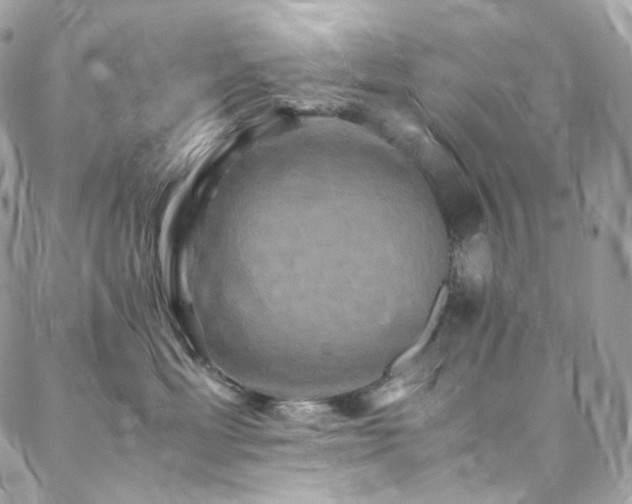 X0000088480429200705221421