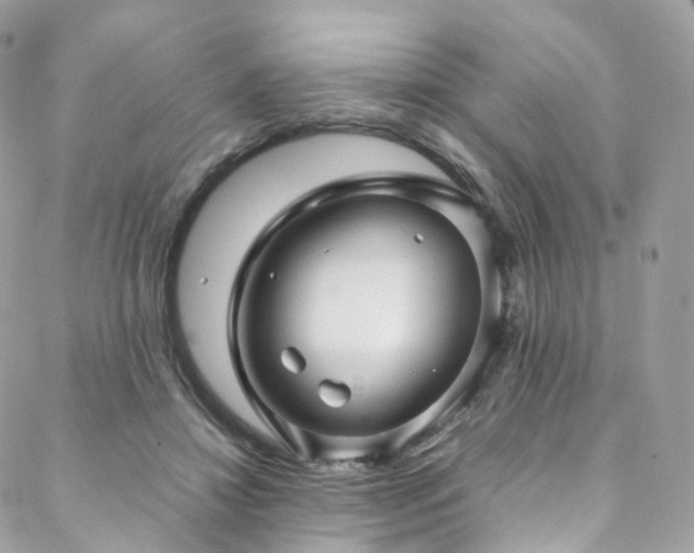 X0000088480452200705221421