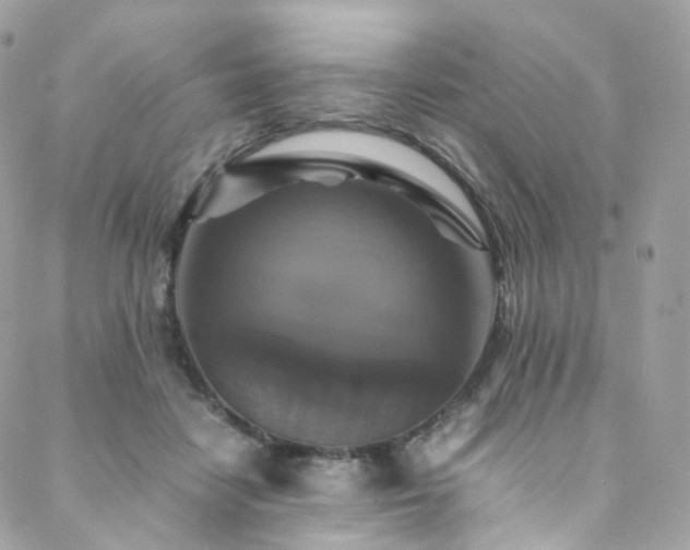 X0000088480458200705221421
