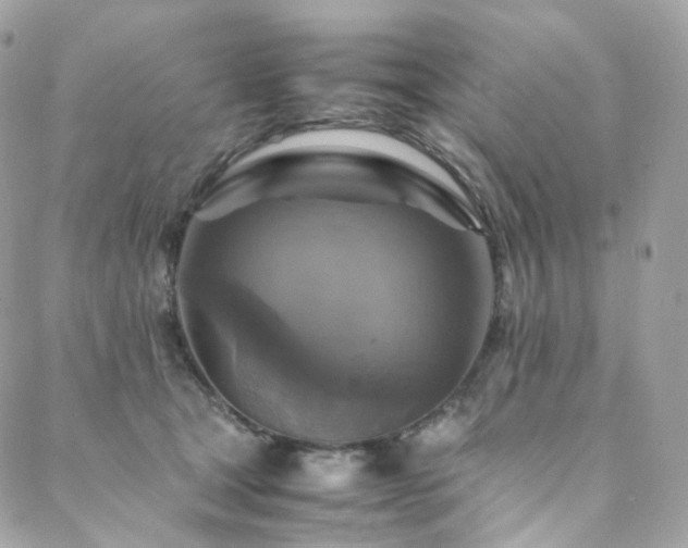 X0000088480465200705221421