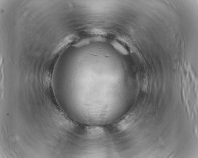 X0000088480476200705221421