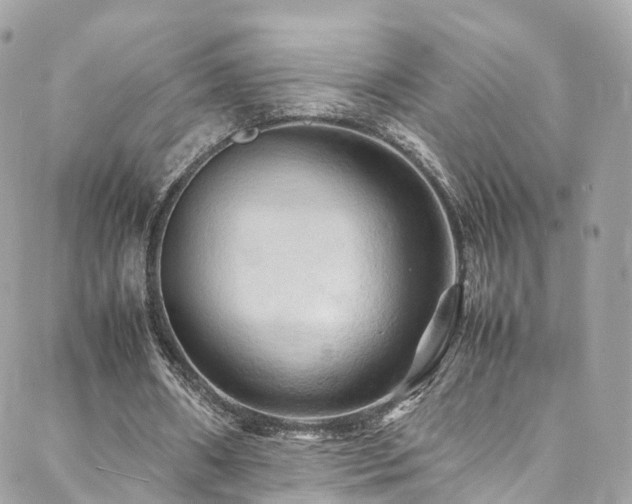 X0000088480482200705221421