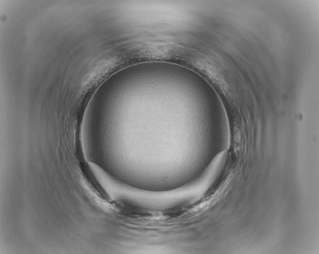 X0000088480493200705221420